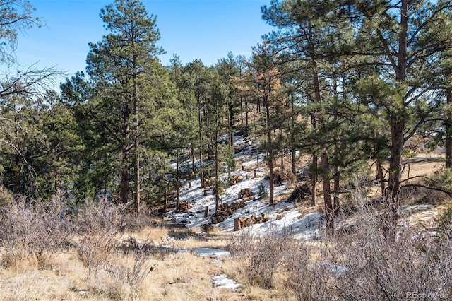 view of local wilderness