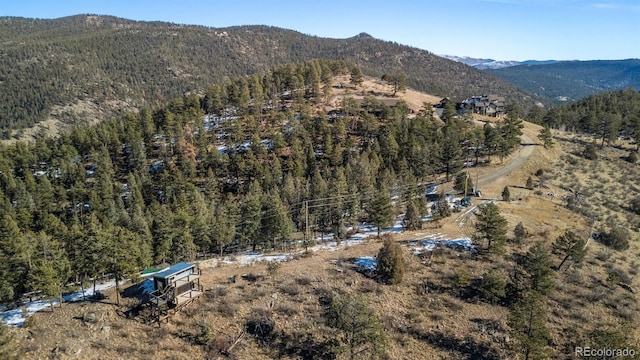 birds eye view of property featuring a mountain view