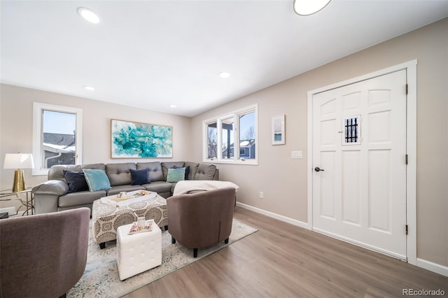 living room with wood-type flooring