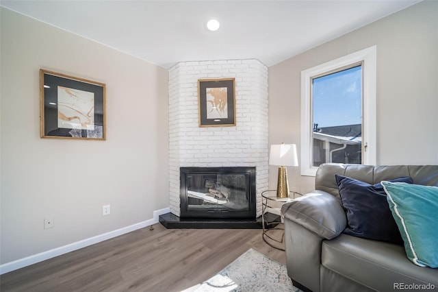 living room with a fireplace and wood-type flooring