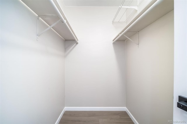 walk in closet featuring wood-type flooring