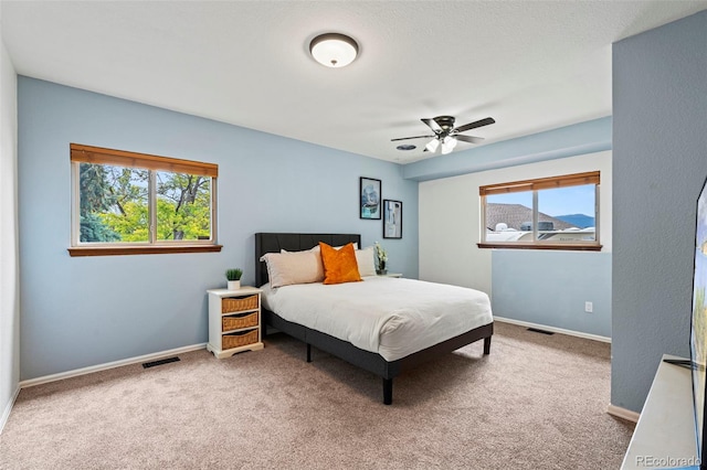 6945 Meadowwood Pl, Colorado Springs, CO 80918 - photo 27