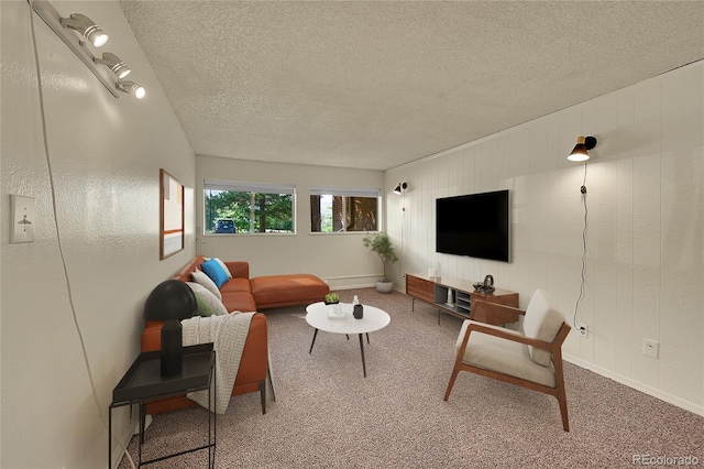 living room with a textured ceiling and carpet