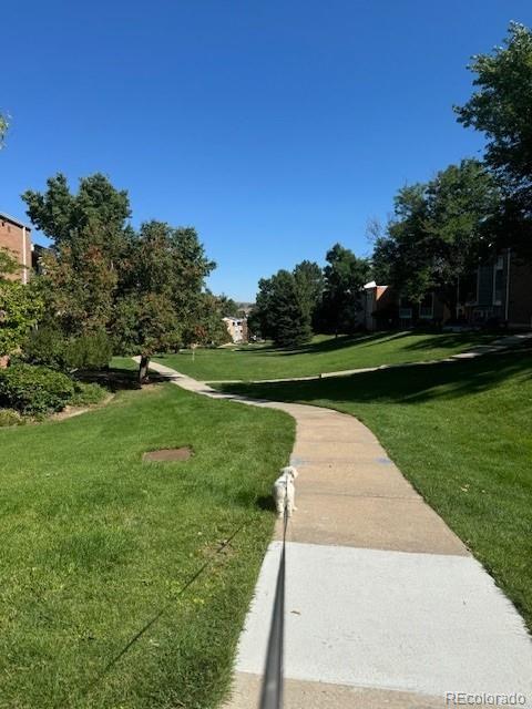 surrounding community featuring a lawn