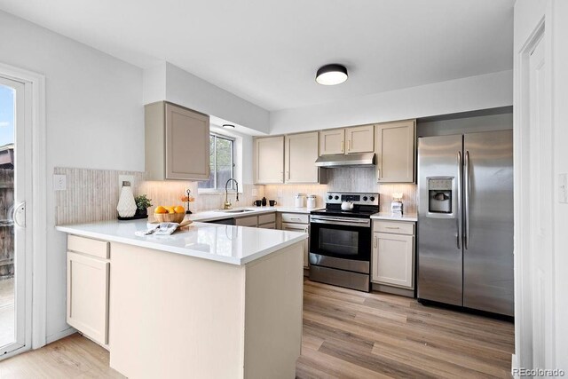 5667 S Lowell Blvd, Littleton, CO 80123 - kitchen featuring appliances with stainless steel finishes, a sink, a peninsula, light wood-style flooring, and light countertops