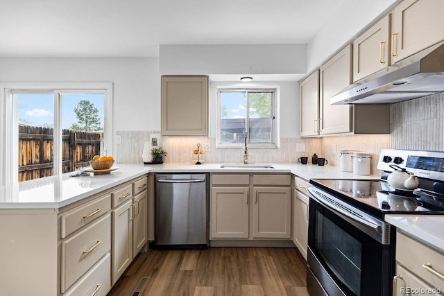 5667 S Lowell Blvd, Littleton, CO 80123 - kitchen featuring stainless steel appliances, a sink, under cabinet range hood, a peninsula, and dark wood-style floors