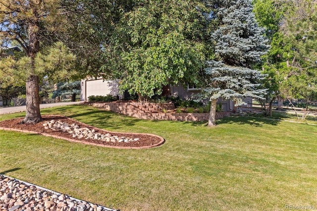 5506 Irish Pat Murphy Dr, Parker, CO 80134 - photo 27