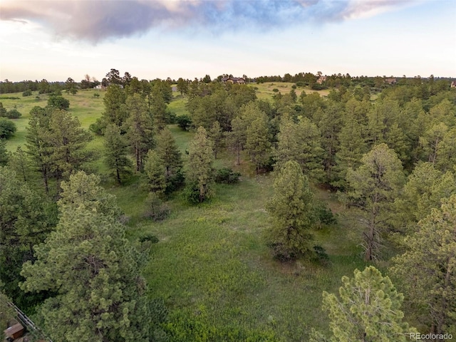 5506 Irish Pat Murphy Dr, Parker, CO 80134 - photo 42