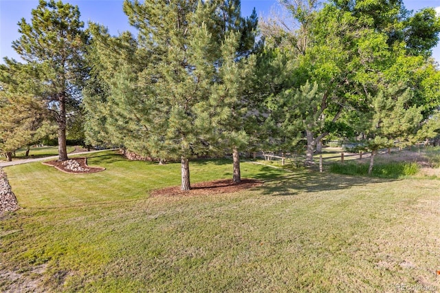 5506 Irish Pat Murphy Dr, Parker, CO 80134 - photo 29