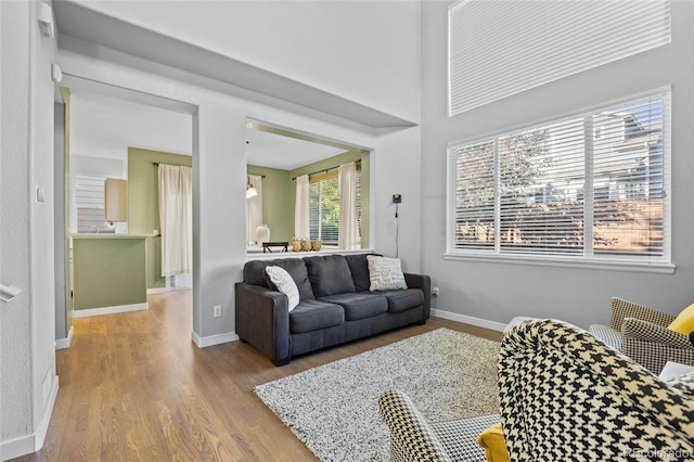 1464 Spotted Owl Way, Highlands Ranch, CO 80129 - living room featuring wood finished floors and baseboards