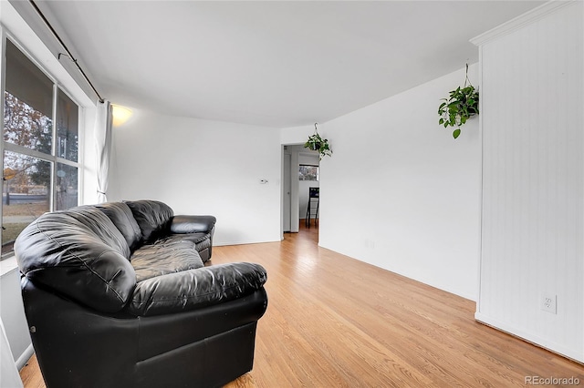 living room with light hardwood / wood-style flooring