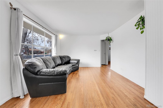 living room with light wood-type flooring