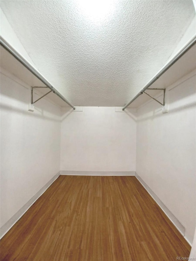 spacious closet with wood-type flooring