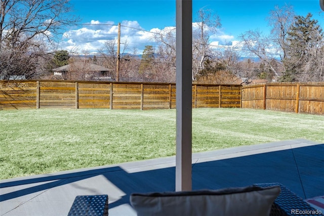 view of yard with a fenced backyard and a patio area