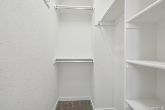 spacious closet with carpet floors