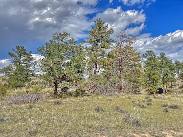 488 Color Sweet Dr, Texas Creek CO, 81223 land for sale