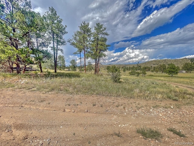 Listing photo 3 for 488 Color Sweet Dr, Texas Creek CO 81223