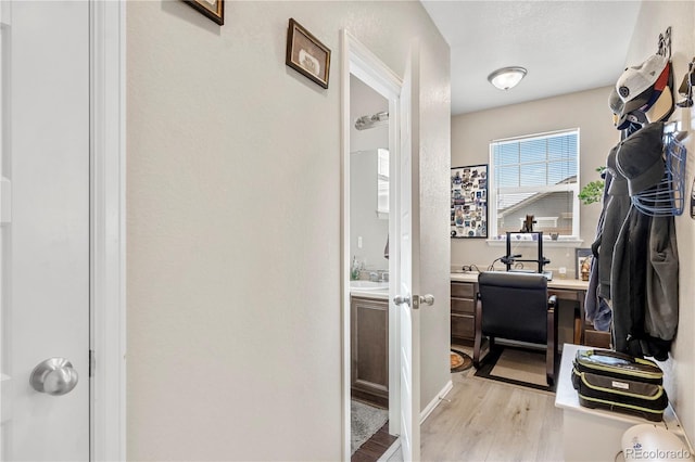 spacious closet featuring light wood-type flooring