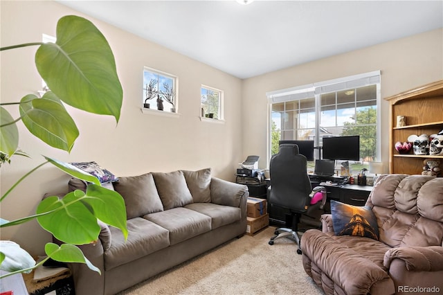 view of carpeted office space