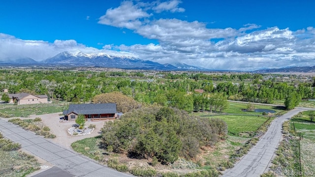 8126 Buck Run, Salida, CO 81201 - view of subject property featuring a mountain backdrop