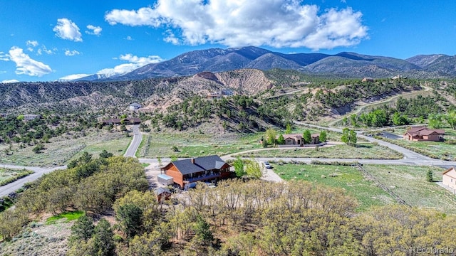 8126 Buck Run, Salida, CO 81201 - photo 31