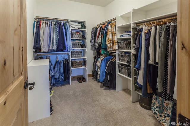 1715 Wales Dr, Berthoud, CO 80513 - walk in closet featuring carpet floors