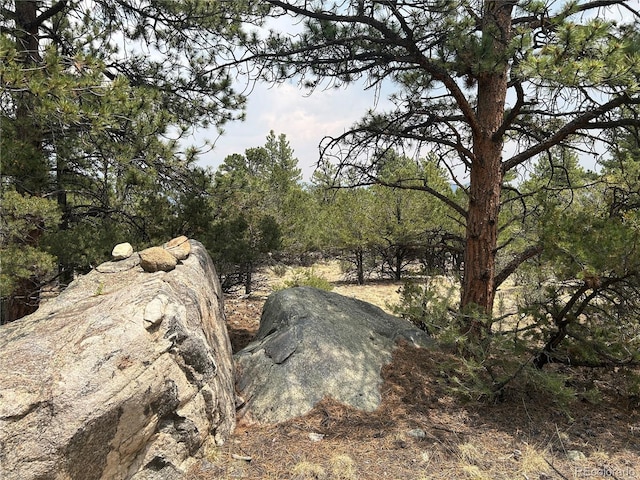30160 Princeton Cir, Buena Vista, CO 81211 - photo 1