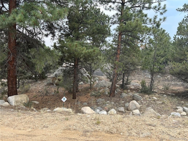 30160 Princeton Cir, Buena Vista, CO 81211 - photo 2