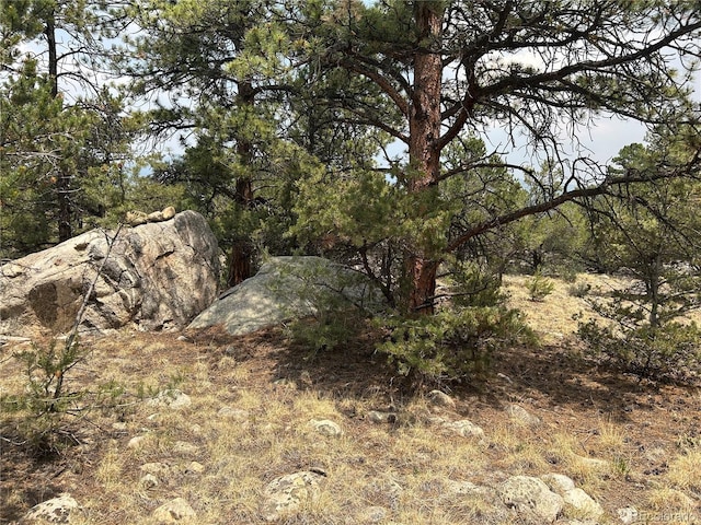 30160 Princeton Cir, Buena Vista, CO 81211 - photo 3