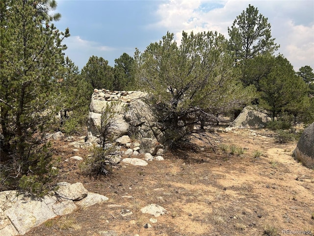 30160 Princeton Cir, Buena Vista, CO 81211 - photo 4