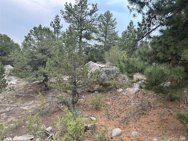 30160 Princeton Cir, Buena Vista, CO 81211 - photo 7