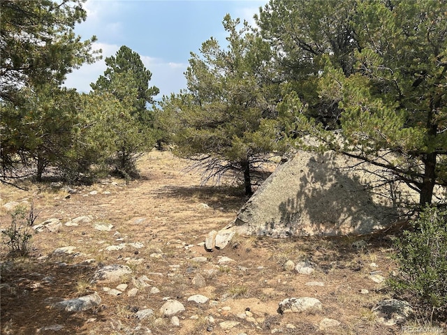 30160 Princeton Cir, Buena Vista, CO 81211 - photo 8