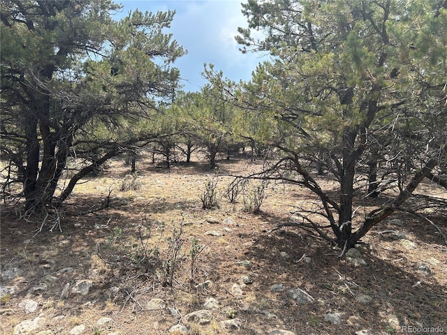 30160 Princeton Cir, Buena Vista, CO 81211 - photo 9