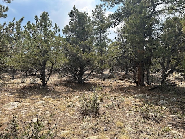30160 Princeton Cir, Buena Vista, CO 81211 - photo 10