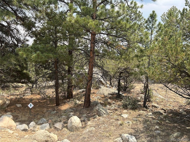 30160 Princeton Cir, Buena Vista, CO 81211 - photo 14