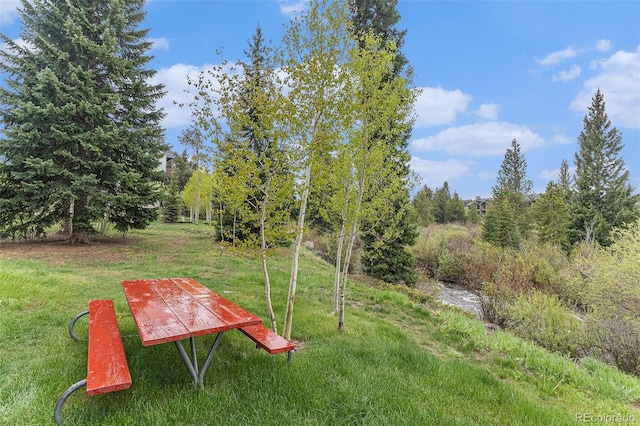 507 Hi Country Dr Unit 7-87, Winter Park, CO 80482 - photo 20