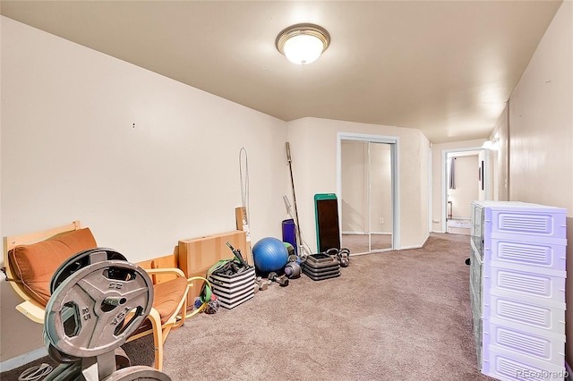 3313 S Dexter St, Denver, CO 80222 - workout room with carpet
