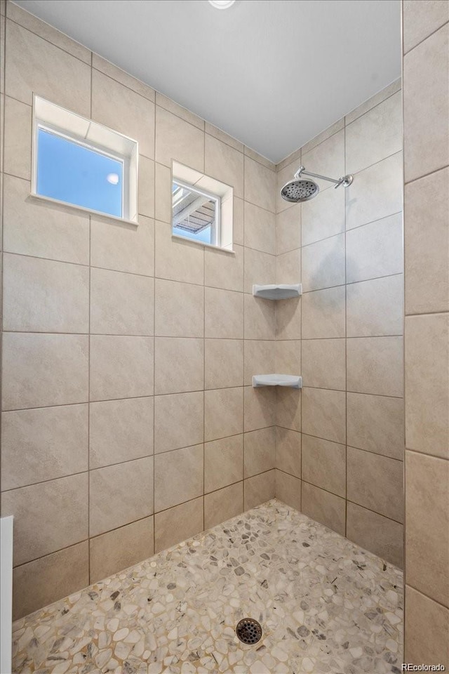 10909 Memphis Ct, Commerce City, CO 80022 - full bathroom with a tile shower