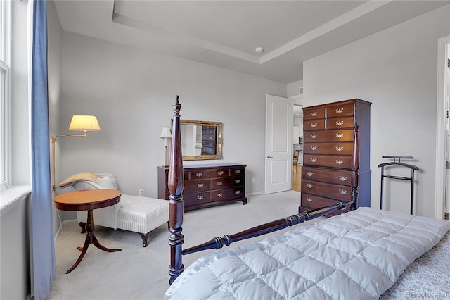 carpeted bedroom with a raised ceiling