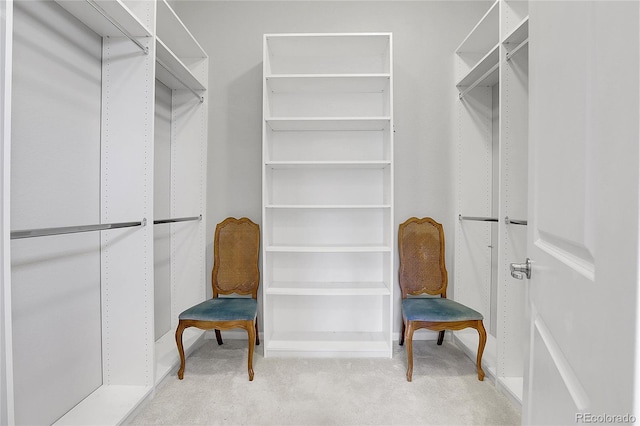 spacious closet featuring light colored carpet