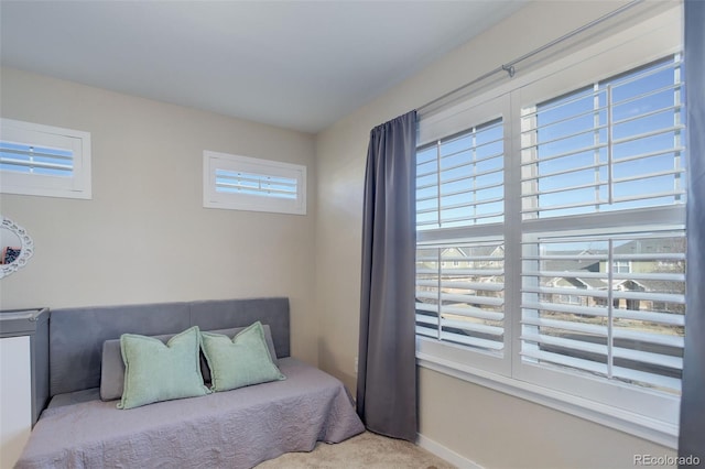 bedroom with carpet floors