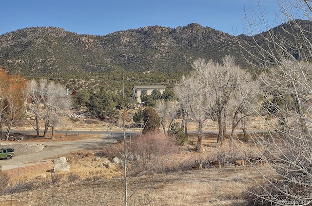 104 Creekside Ct, Buena Vista, CO 81211 - photo 37