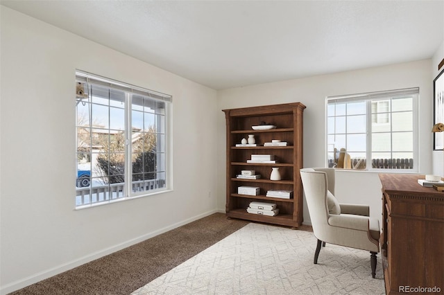 carpeted home office with a healthy amount of sunlight