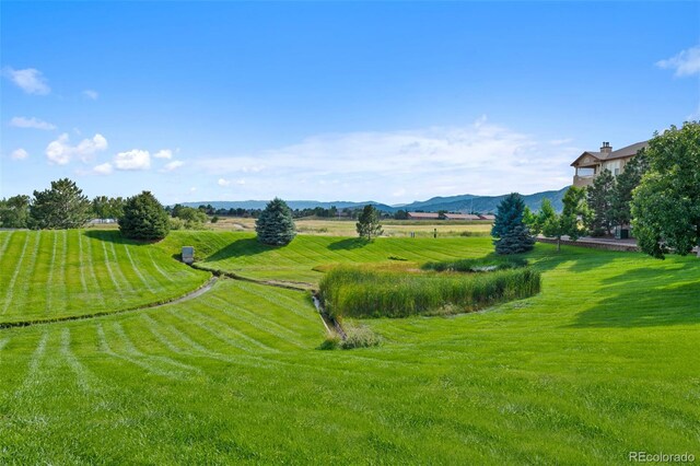 view of yard with a mountain view and a rural view