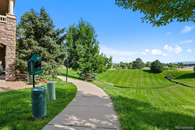 view of community featuring a yard