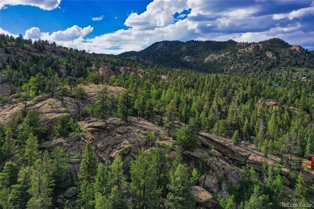 view of mountain feature