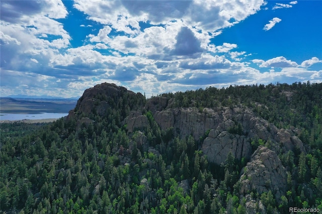 view of mountain feature