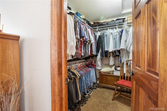 spacious closet featuring carpet floors