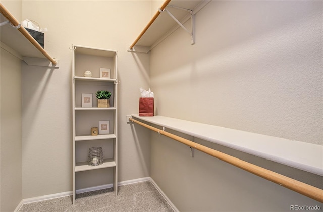 walk in closet featuring carpet flooring