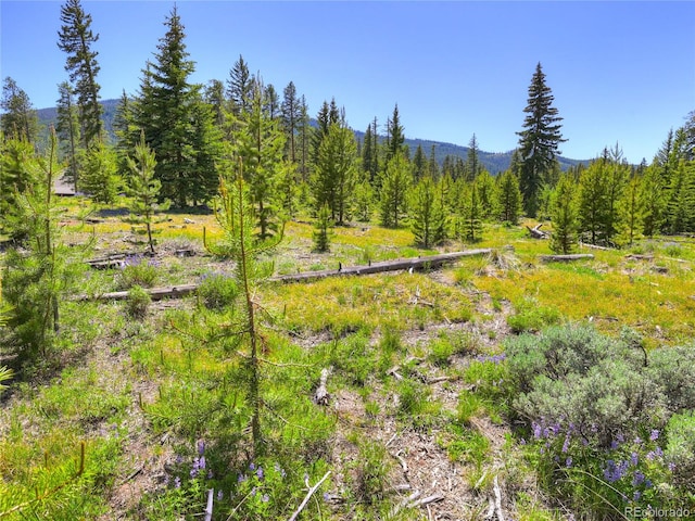 840 Penstemon Rd, Dillon, CO 80435 - photo 45